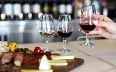 Se spécialiser dans un métier du vin pour une carrière garantie.