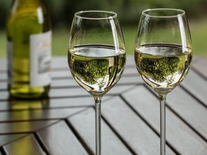 Déguster le vin dans un gobelet bio pour un acte éco-responsable